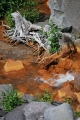 Hike along Copper Creek
